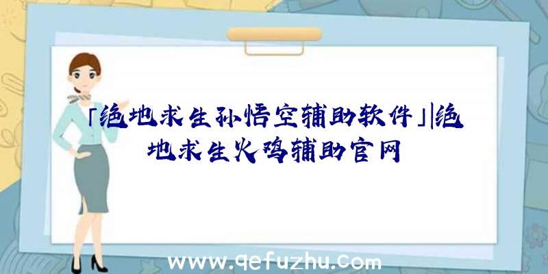 「绝地求生孙悟空辅助软件」|绝地求生火鸡辅助官网